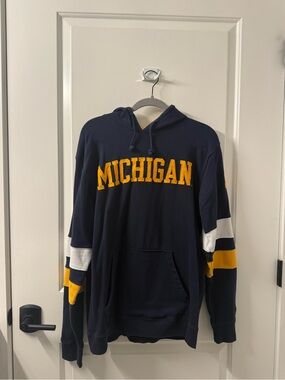 L Michigan Champion Hoodie